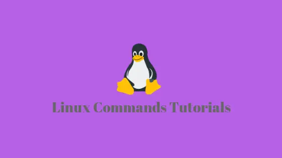 Linux commands tutorial