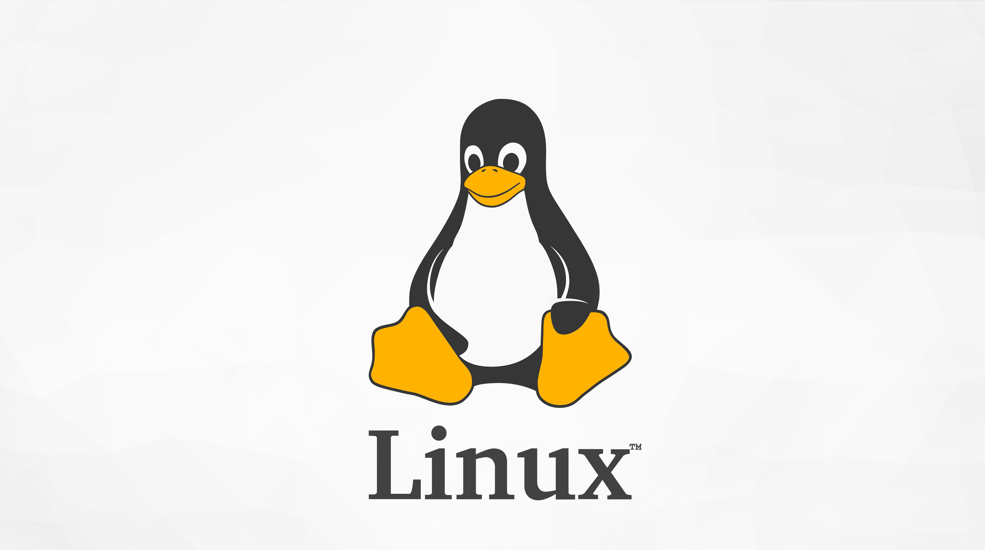 Most Used CLI Based Linux Network Management Tools
