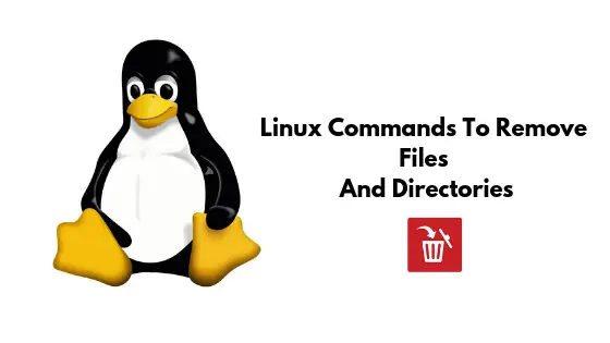 Linux Commands To Remove Files And Directories