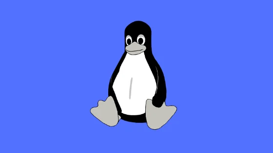 Useful Tools To Find And Delete Duplicate Files In Linux