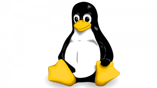 Linux strong password