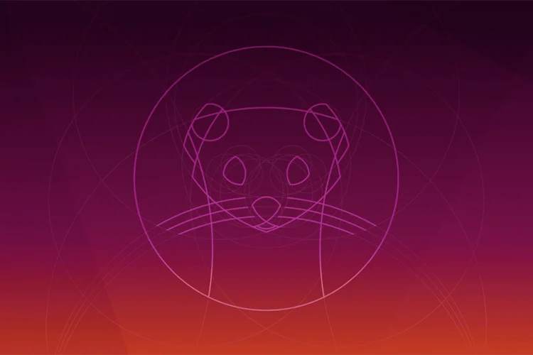 Ubuntu 20.04 LTS