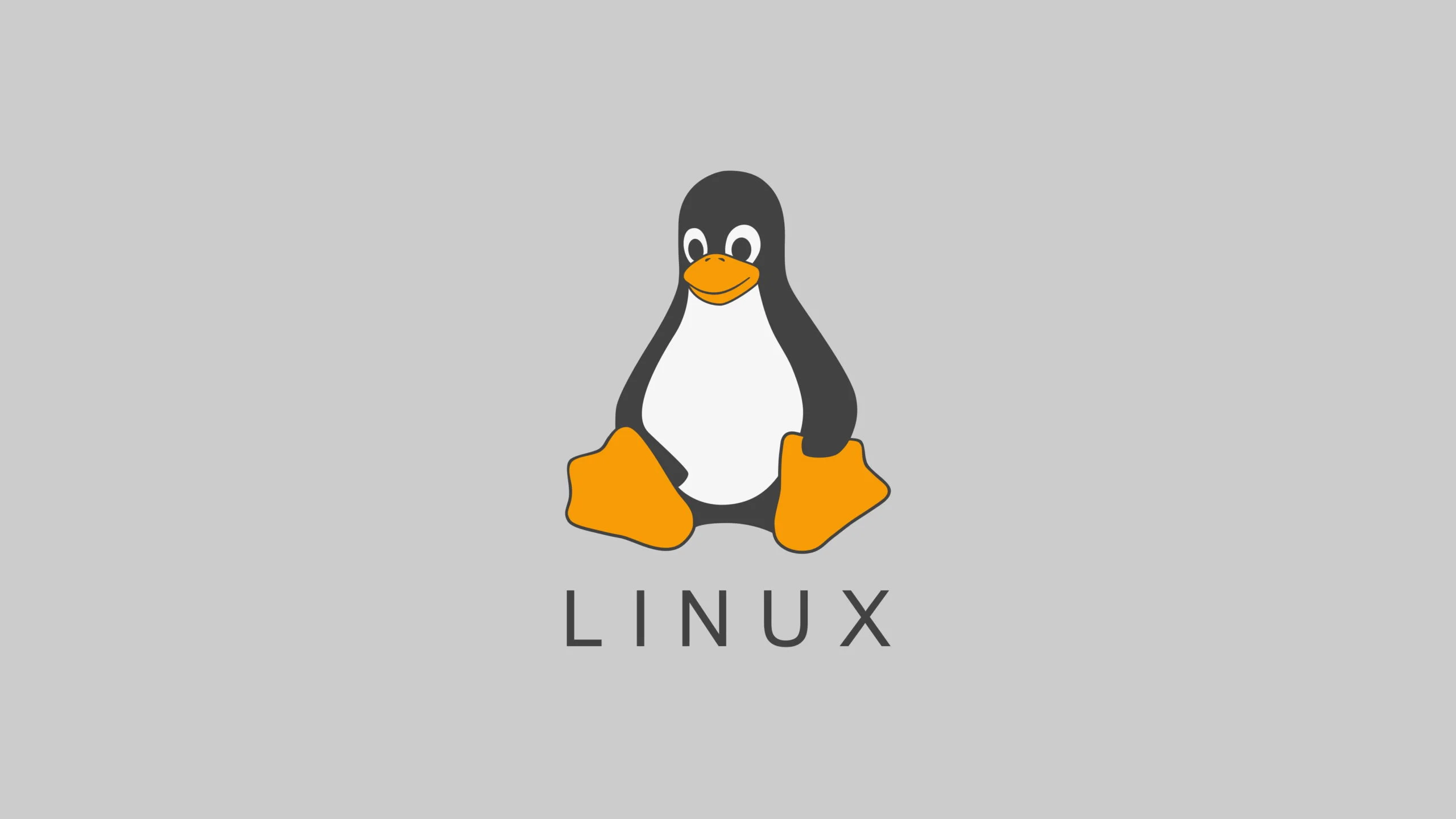 Downgrade Packages On Linux System: Linux Guide 2020