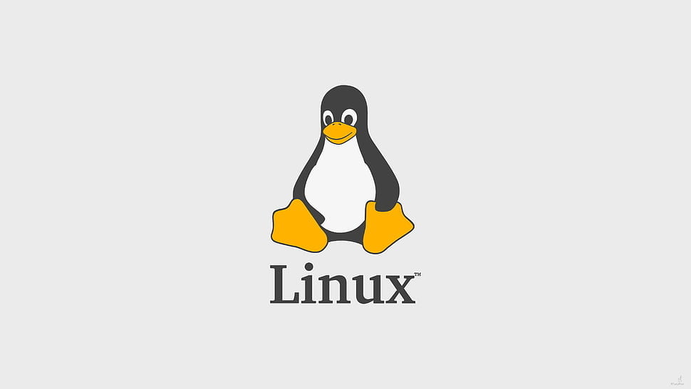 How To Upgrade Linux Kernel : Linux Kernel 5.14 LTS Released ...