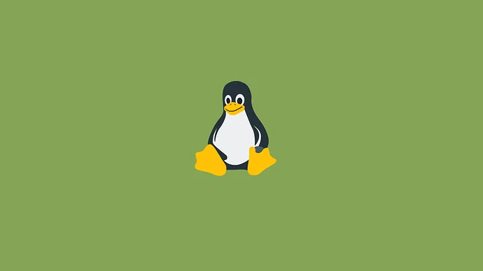 Linux Kernel