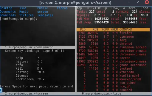 Linux GNU Screen