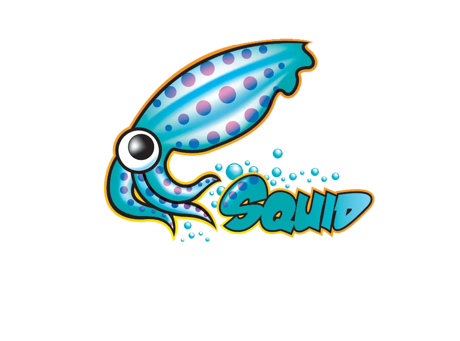 Install Squid Proxy on Ubuntu 20.04