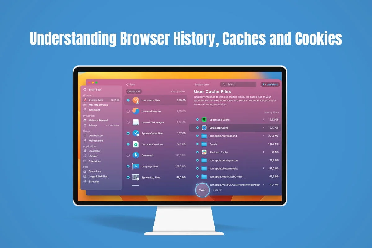 Understanding Browser History, Caches And Cookies
